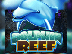 Dolphin Reef thumbnail
